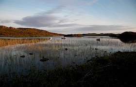 Loch Pottie near Fionnphort