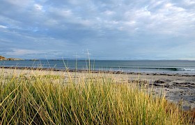 Ardalanish beach sand dunes