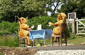 Highland Cow "Scarecrows"