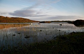 Loch Pottie near Fionnphort