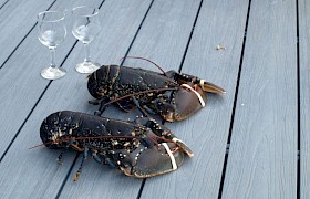 Two freshly caught lobster